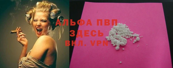 сатива Галич