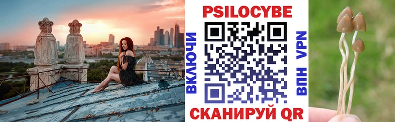 Псилоцибиновые грибы мухоморы Богородск